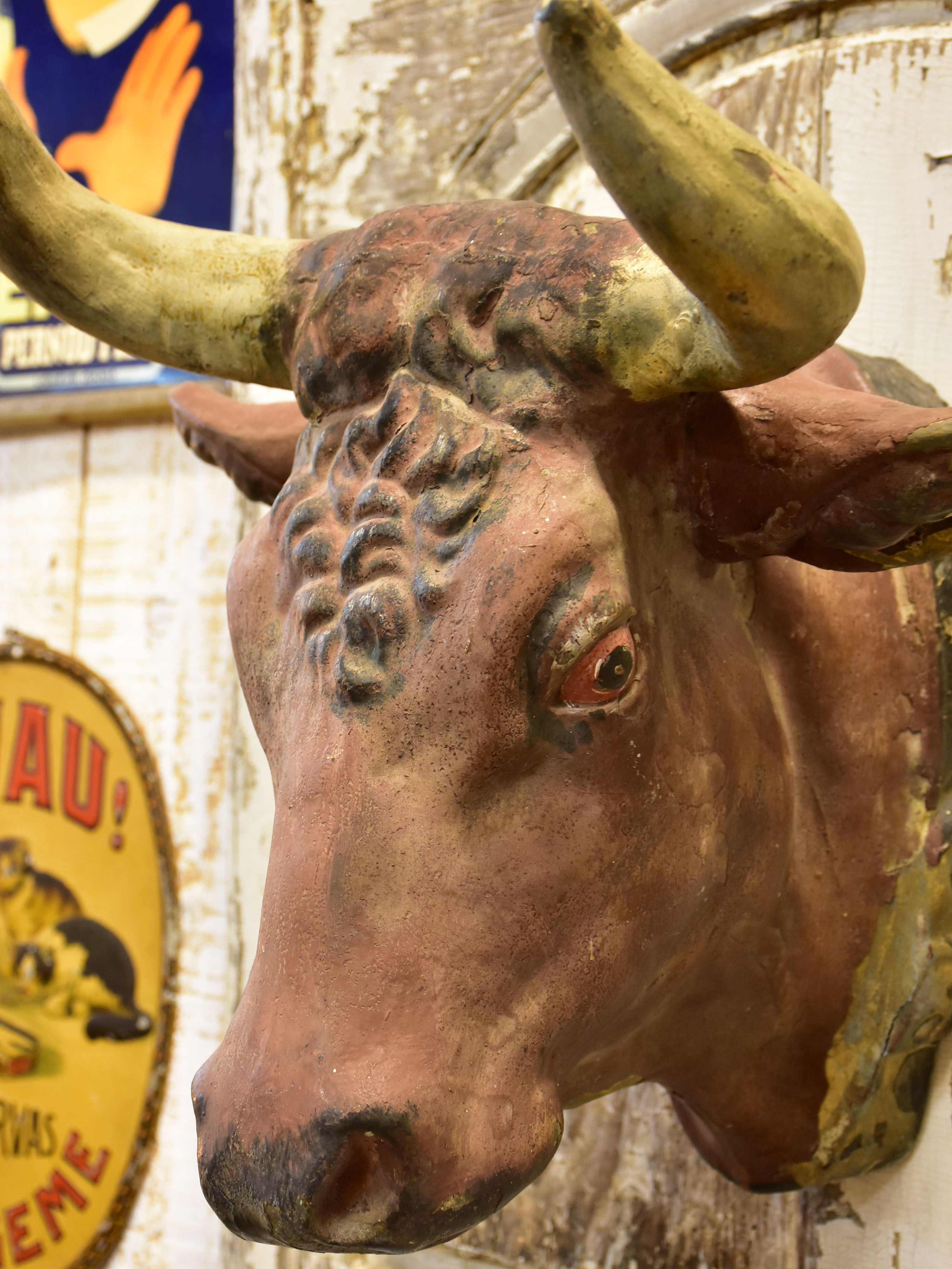 Rustic French cows head from a Butcher’s shop