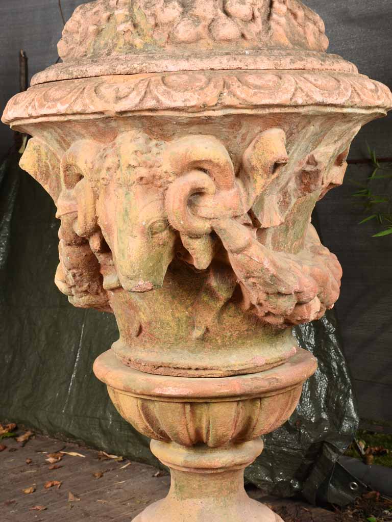 Extra-Large Pair Of Medici Urns w/ ram's heads 56"