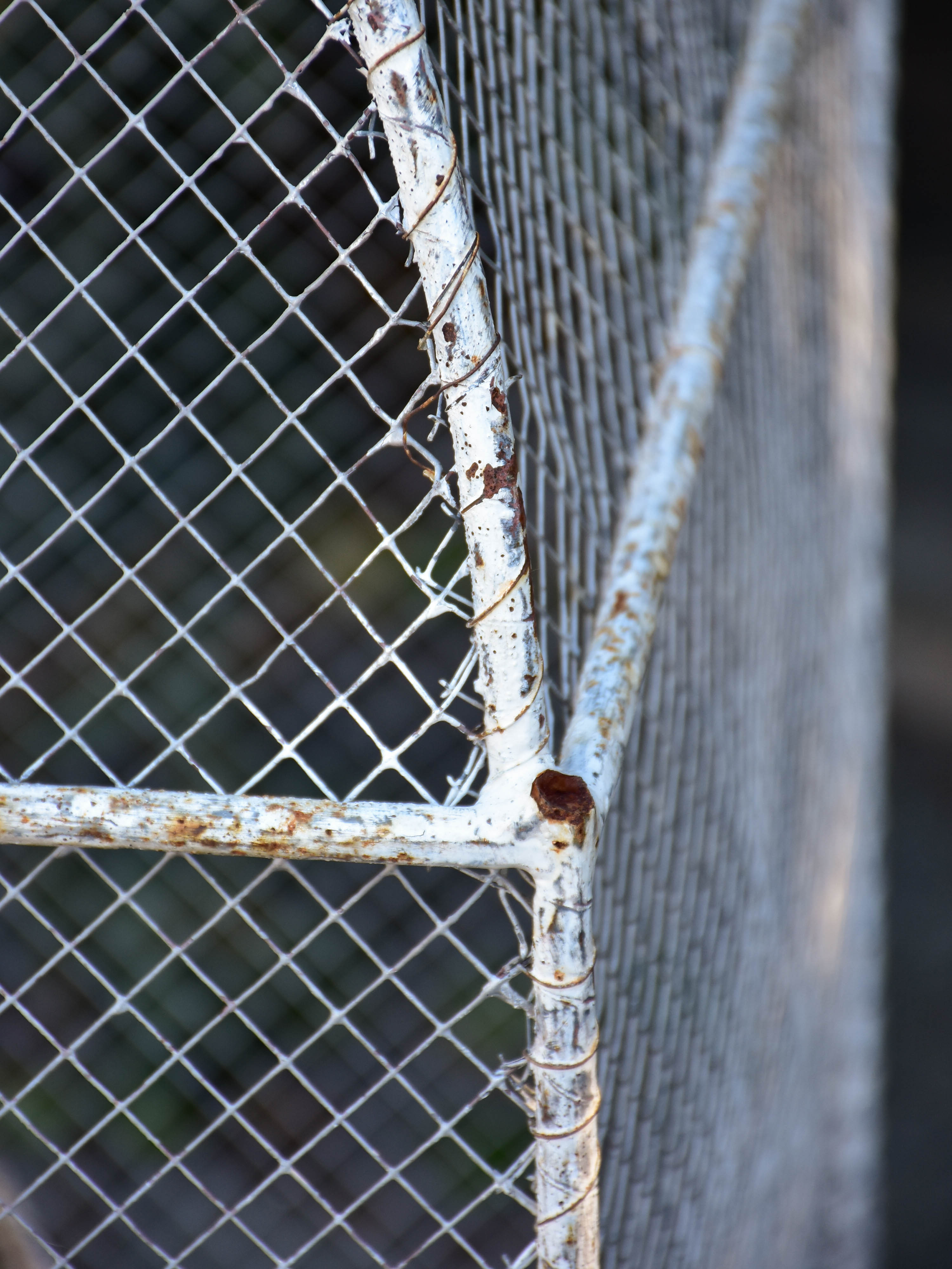 Extra-large vintage birdcage