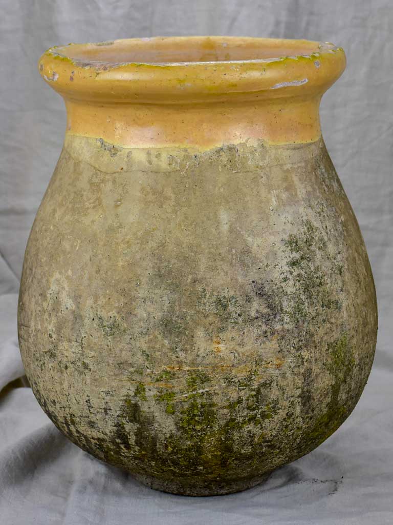 19th Century French Biot olive jar - petite 20½"