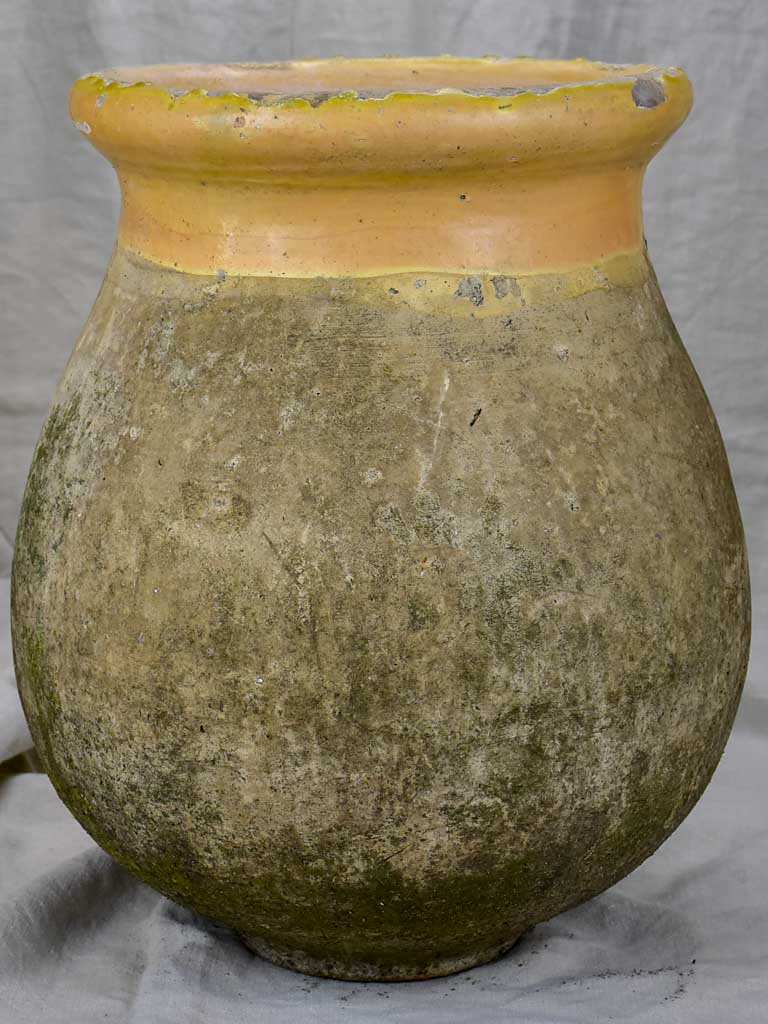 19th Century French Biot olive jar - petite 20½"