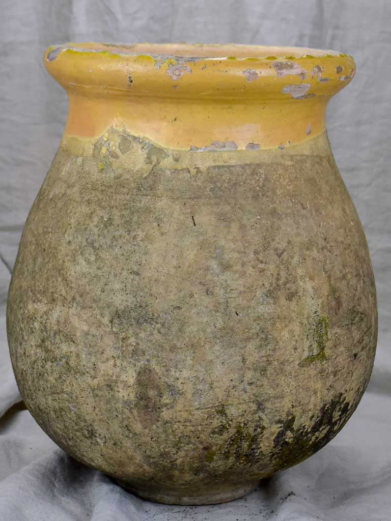 19th Century French Biot olive jar - petite 20½"