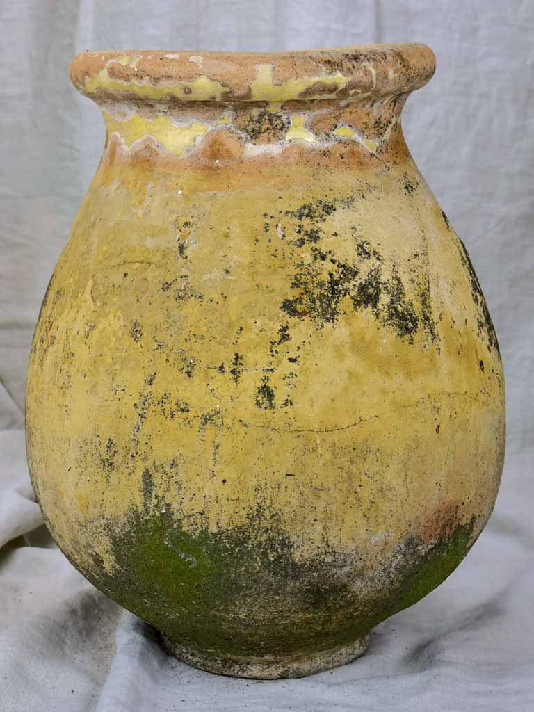 19th Century olive jar from Biot 22¾"