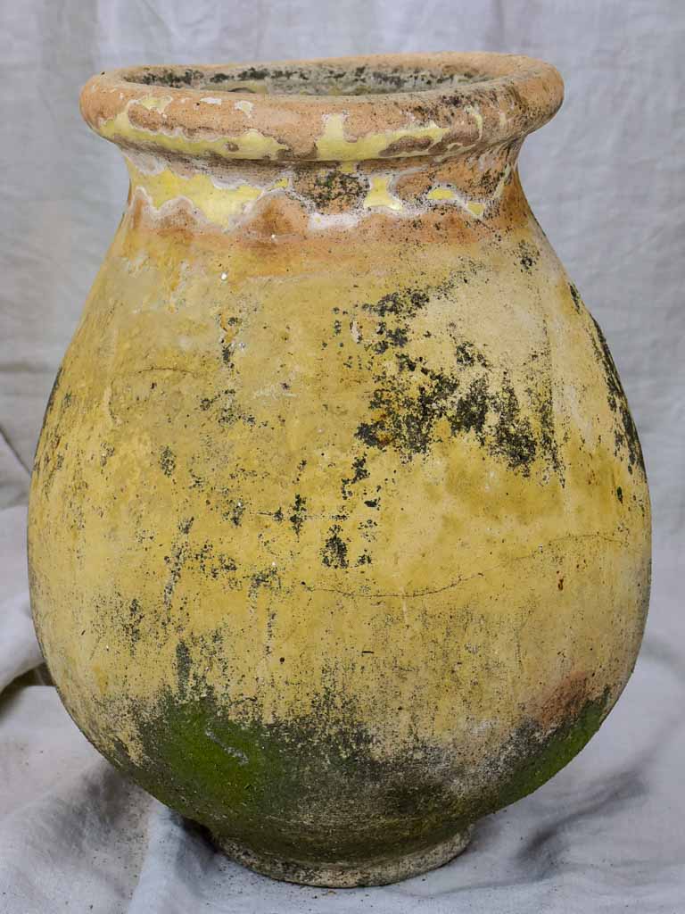 19th Century olive jar from Biot 22¾"