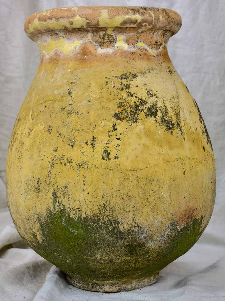 19th Century olive jar from Biot 22¾"