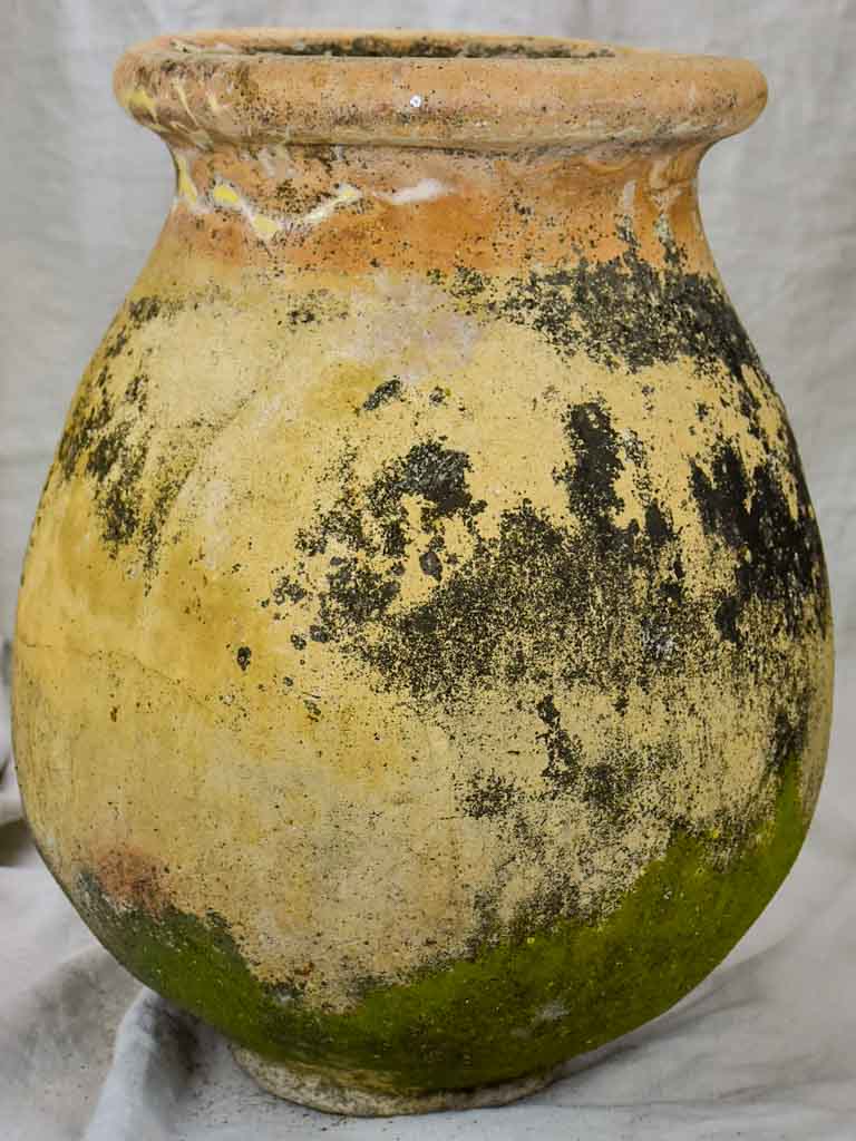 19th Century olive jar from Biot 22¾"