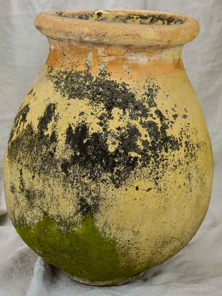 19th Century olive jar from Biot 22¾"