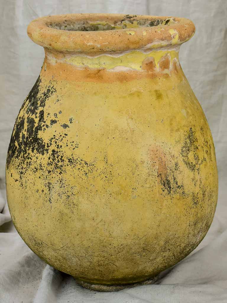 19th Century olive jar from Biot 22¾"