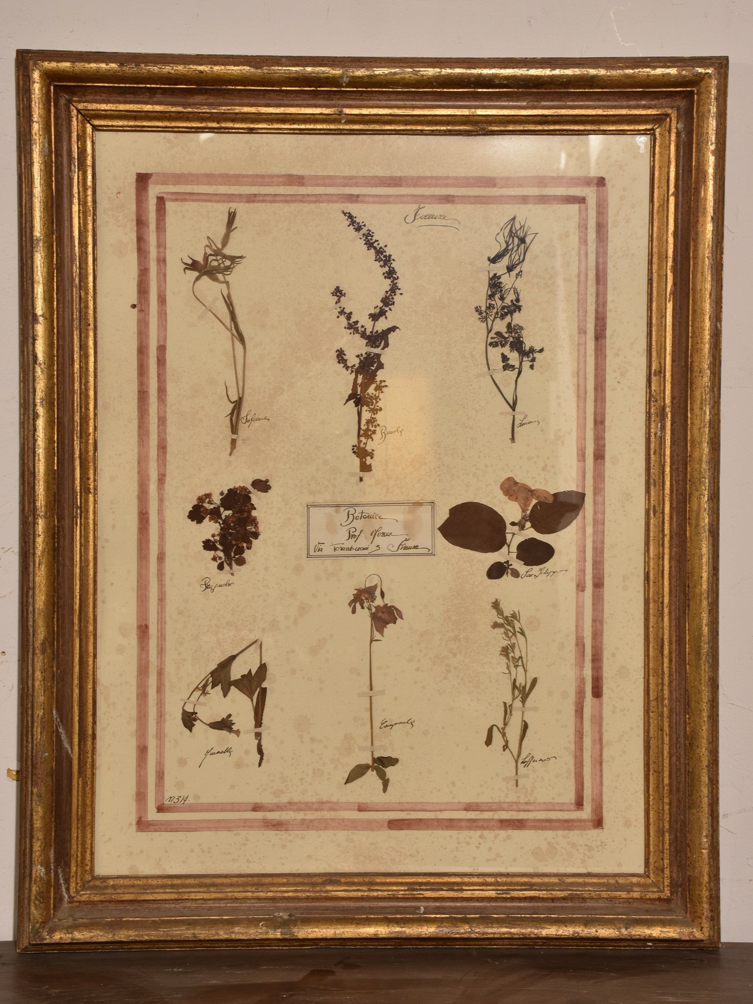 Italian botanical flowers in an antique gilded frame