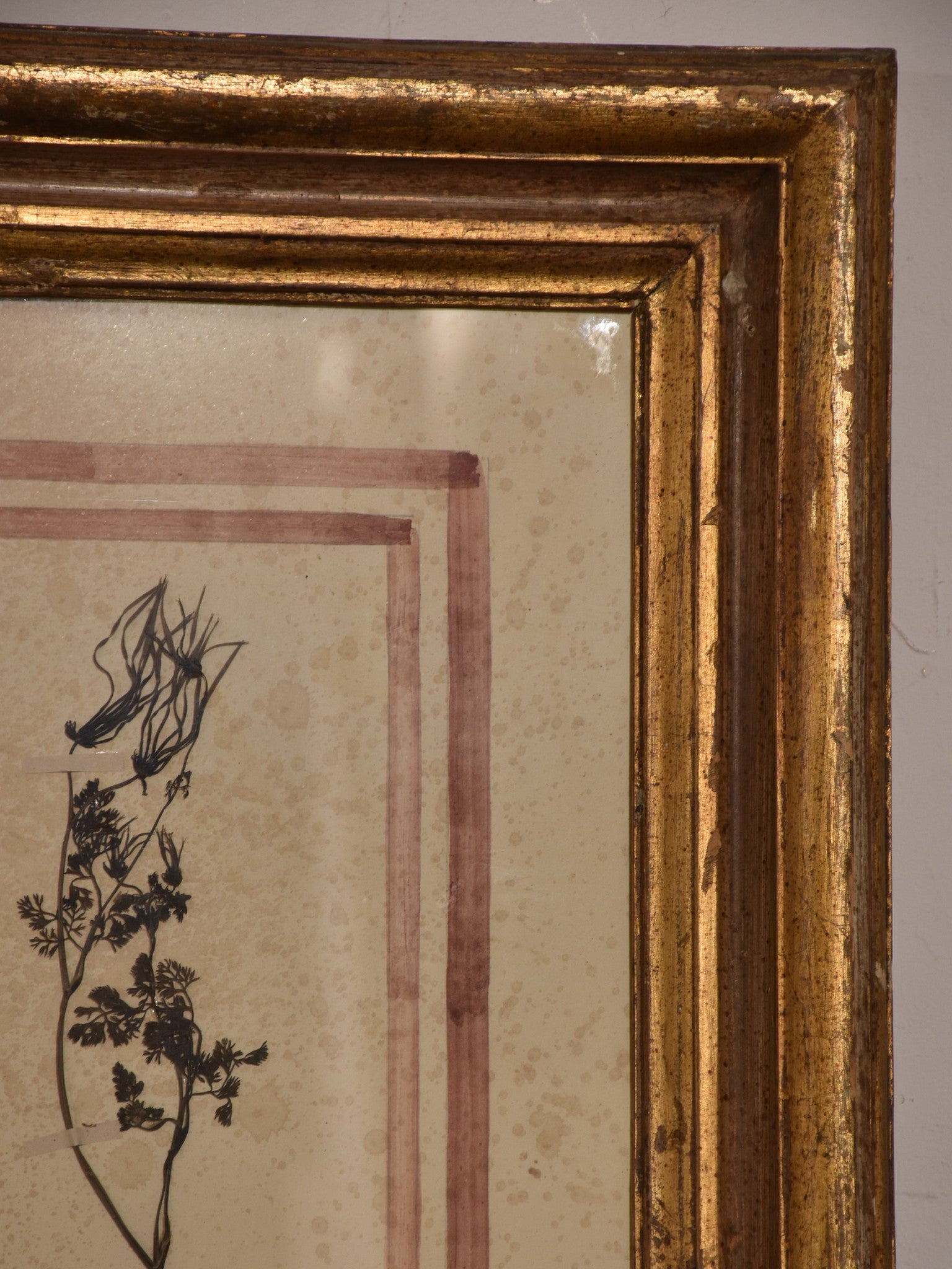 Italian botanical flowers in an antique gilded frame