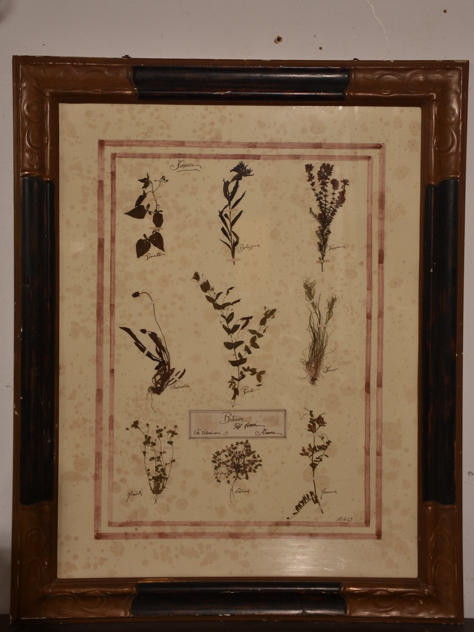 Italian botanical flowers in an antique black and brown frame