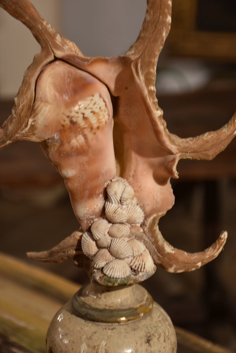 Italian mounted spider conch shell