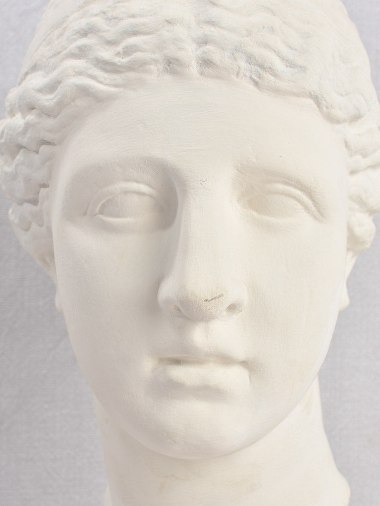 Classical bust - mold by the Louvre 17" x 9" x 7½"