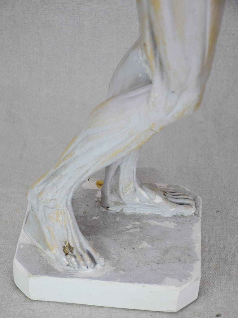 Plaster anatomical sculpture from the early twentieth century 29¼"