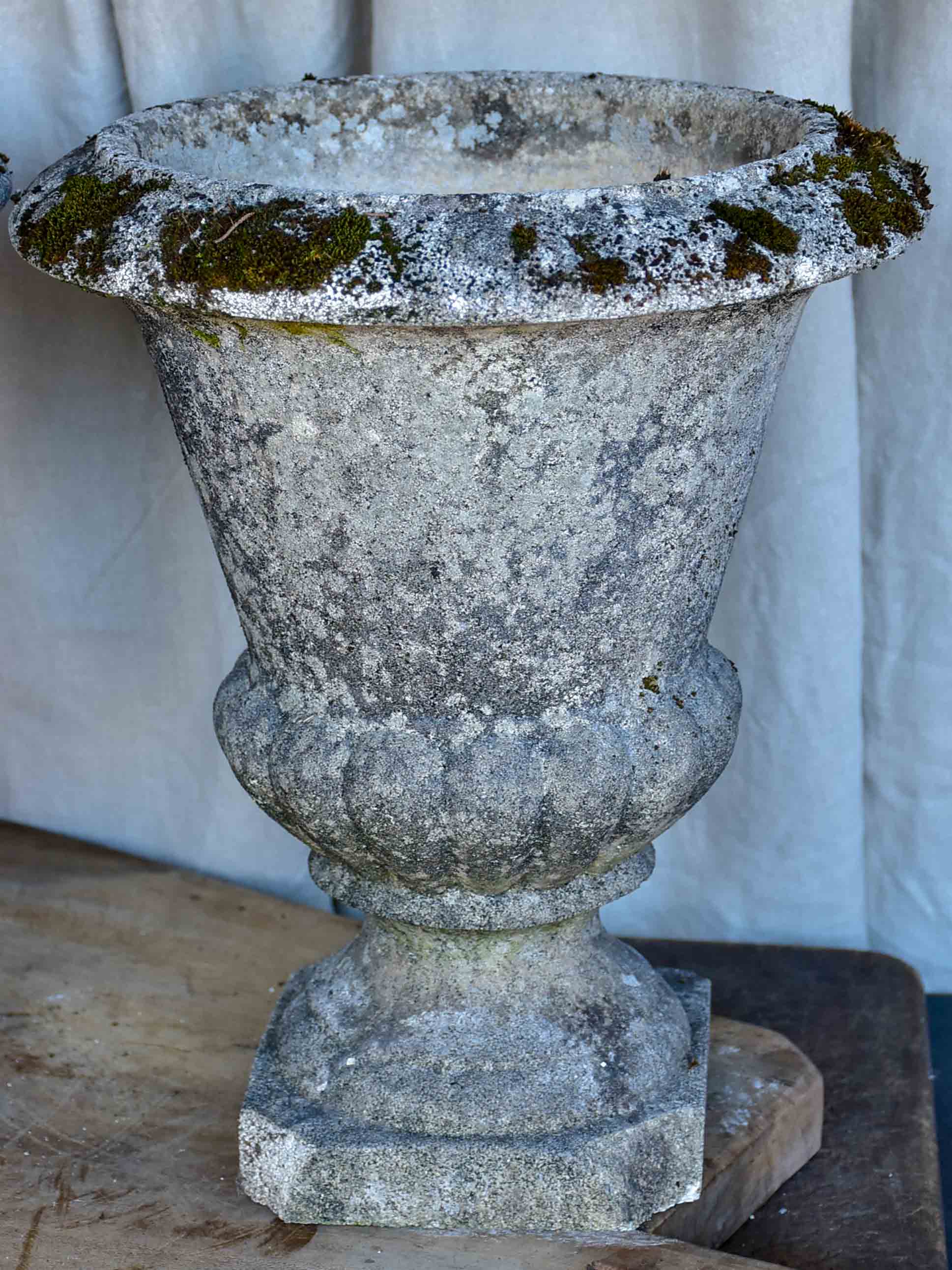 Pair of vintage French garden urns