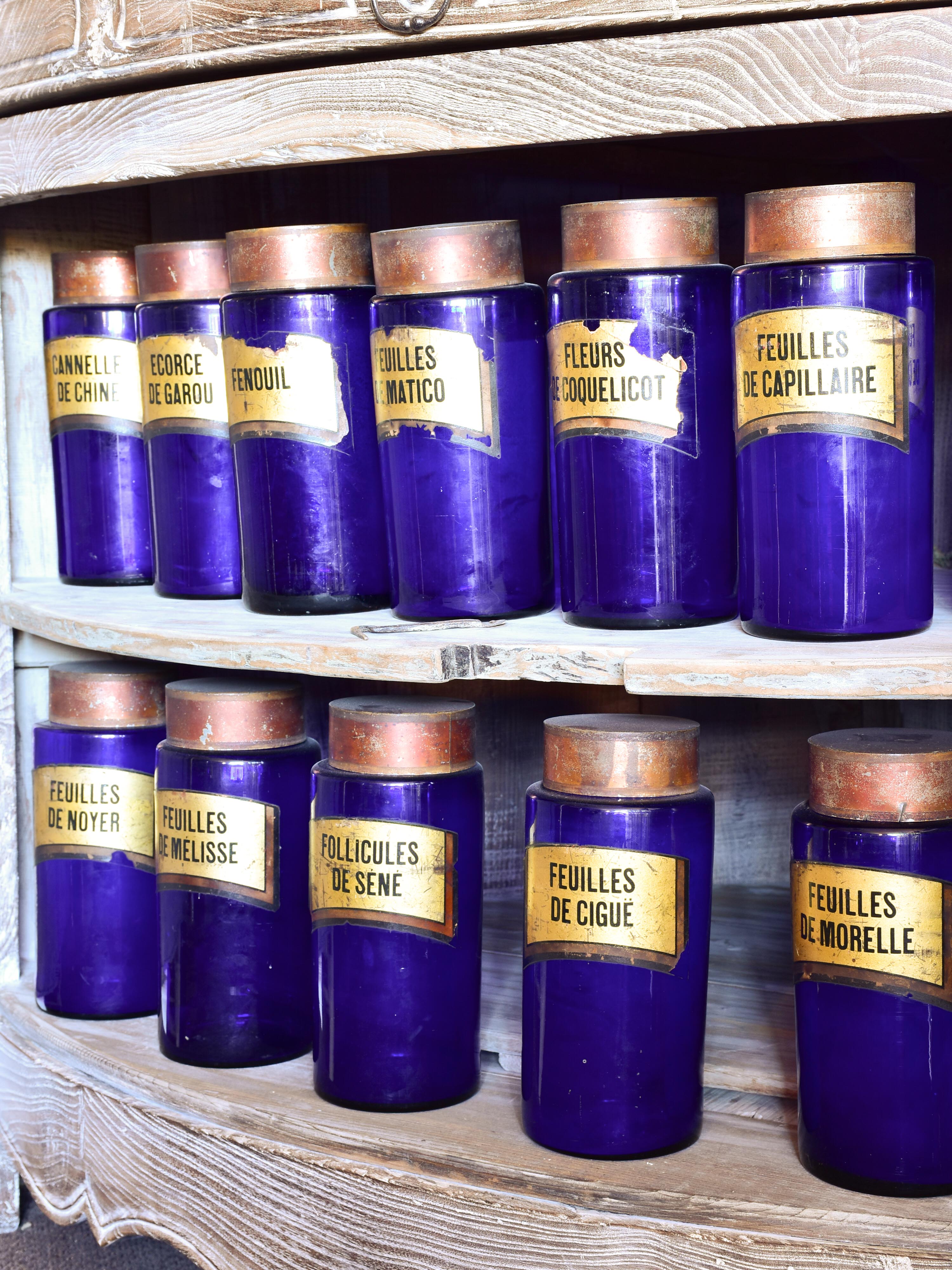 Collection of 14 antique French pharmacy jars with blue glass