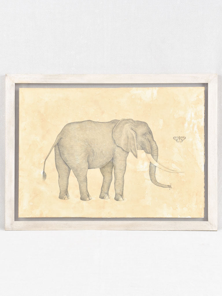 Andrea Collesano drawing - elephant & butterfly 23¾" x 32"