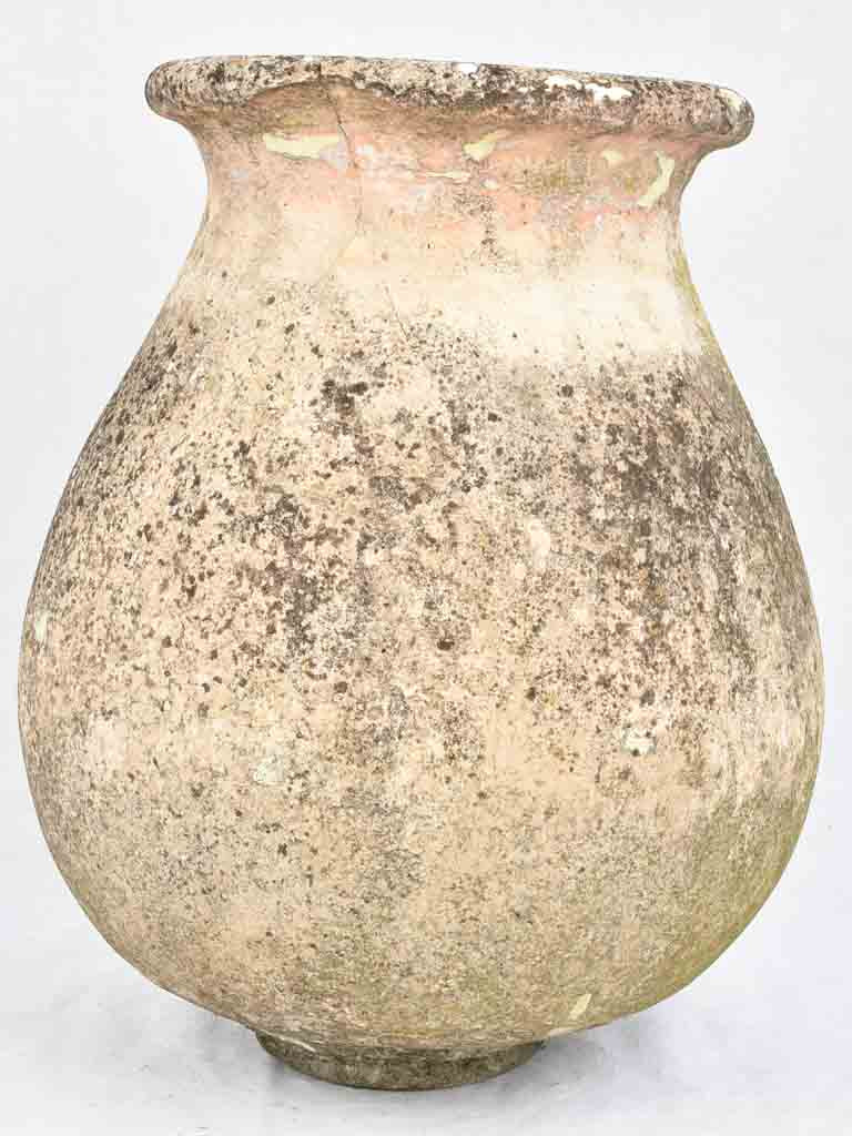 19th century French olive jar - Biot jar 23¾"