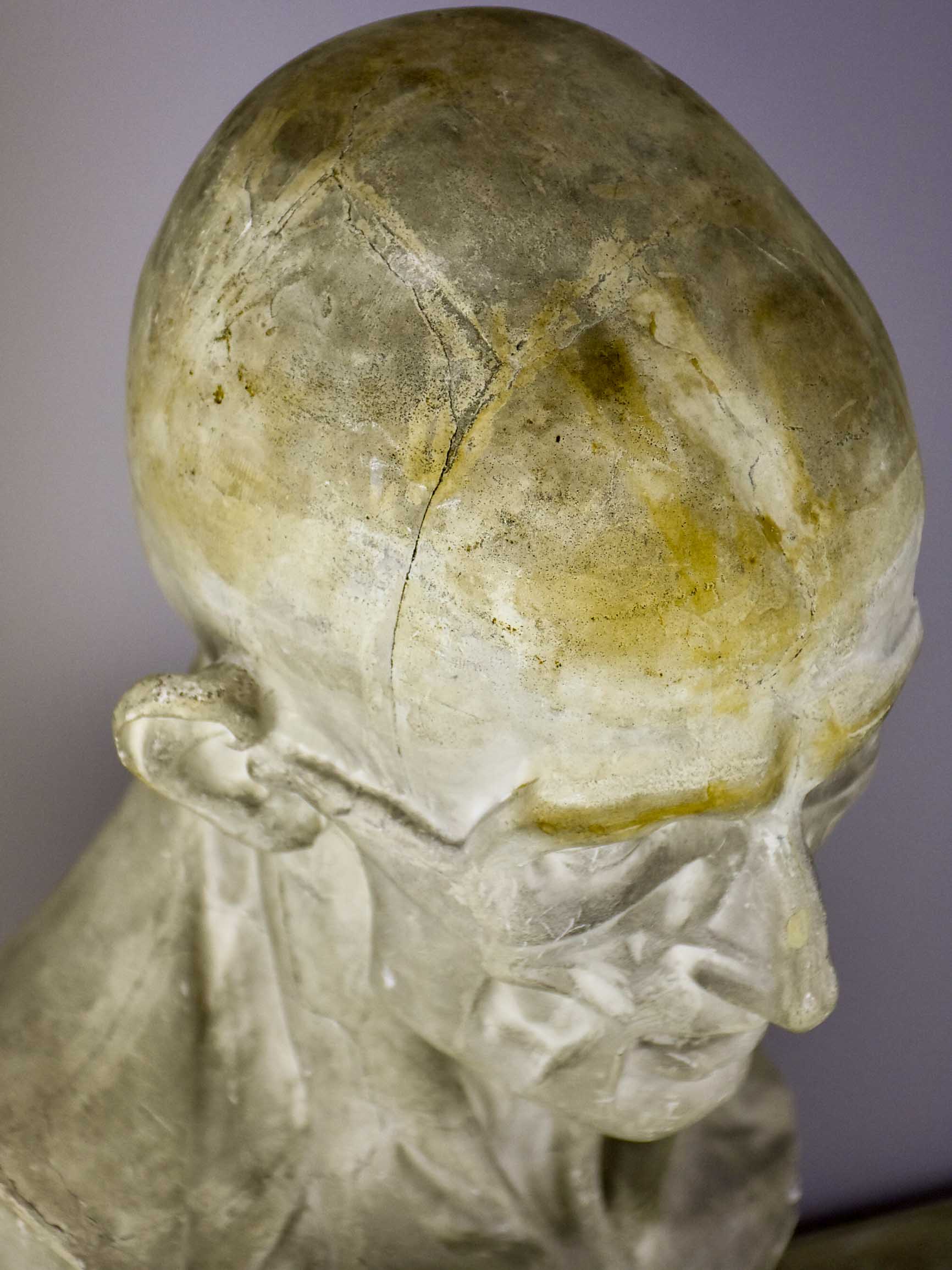 19th Century French plaster male anatomical bust