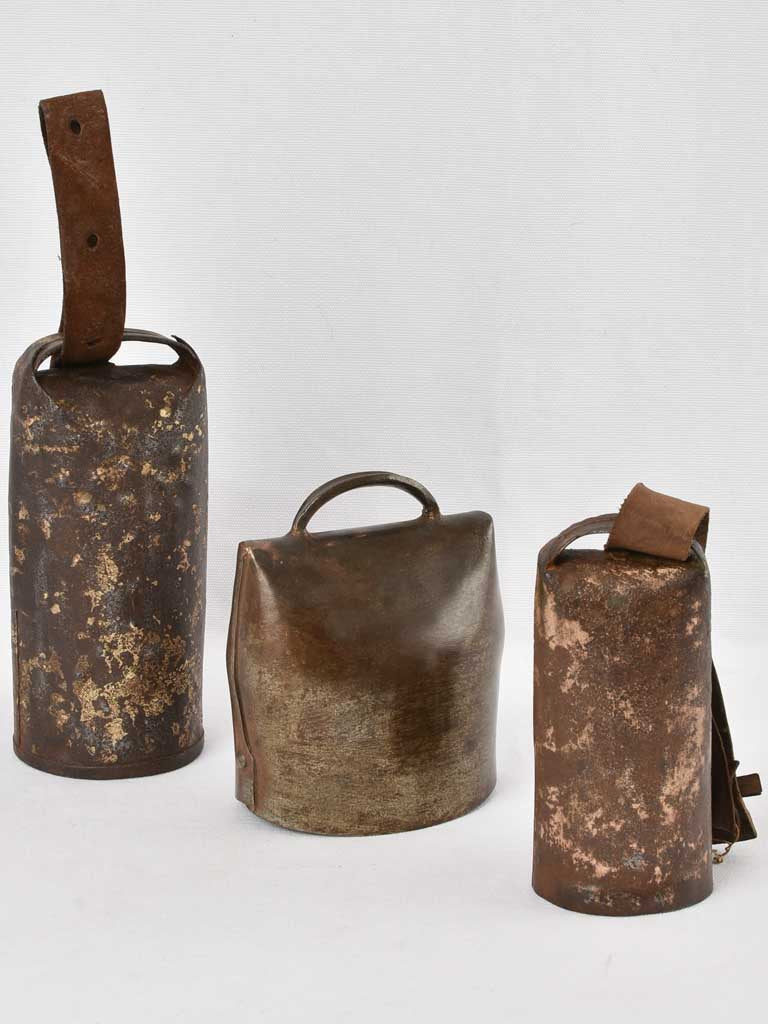 3 French cowbells Chamonix - 19th century