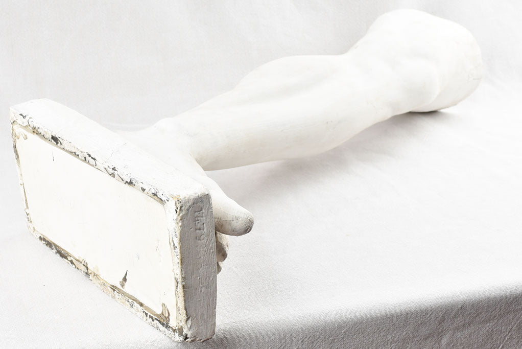 Detailed plaster model of human leg