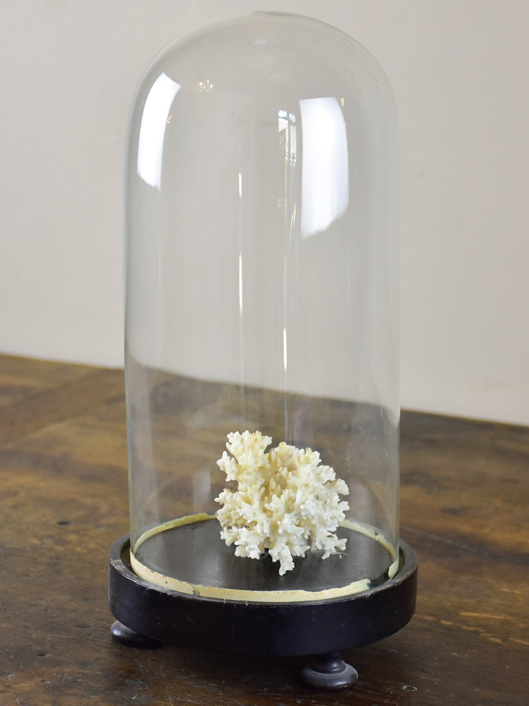 Napoleon III glass globe with coral