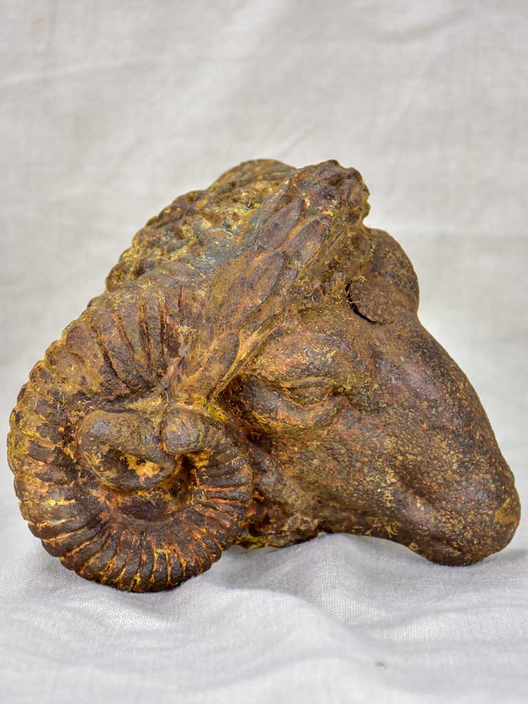 Rare 19th Century ram's head from a butcher