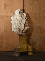 Mounted Coral and shell specimens on antique base