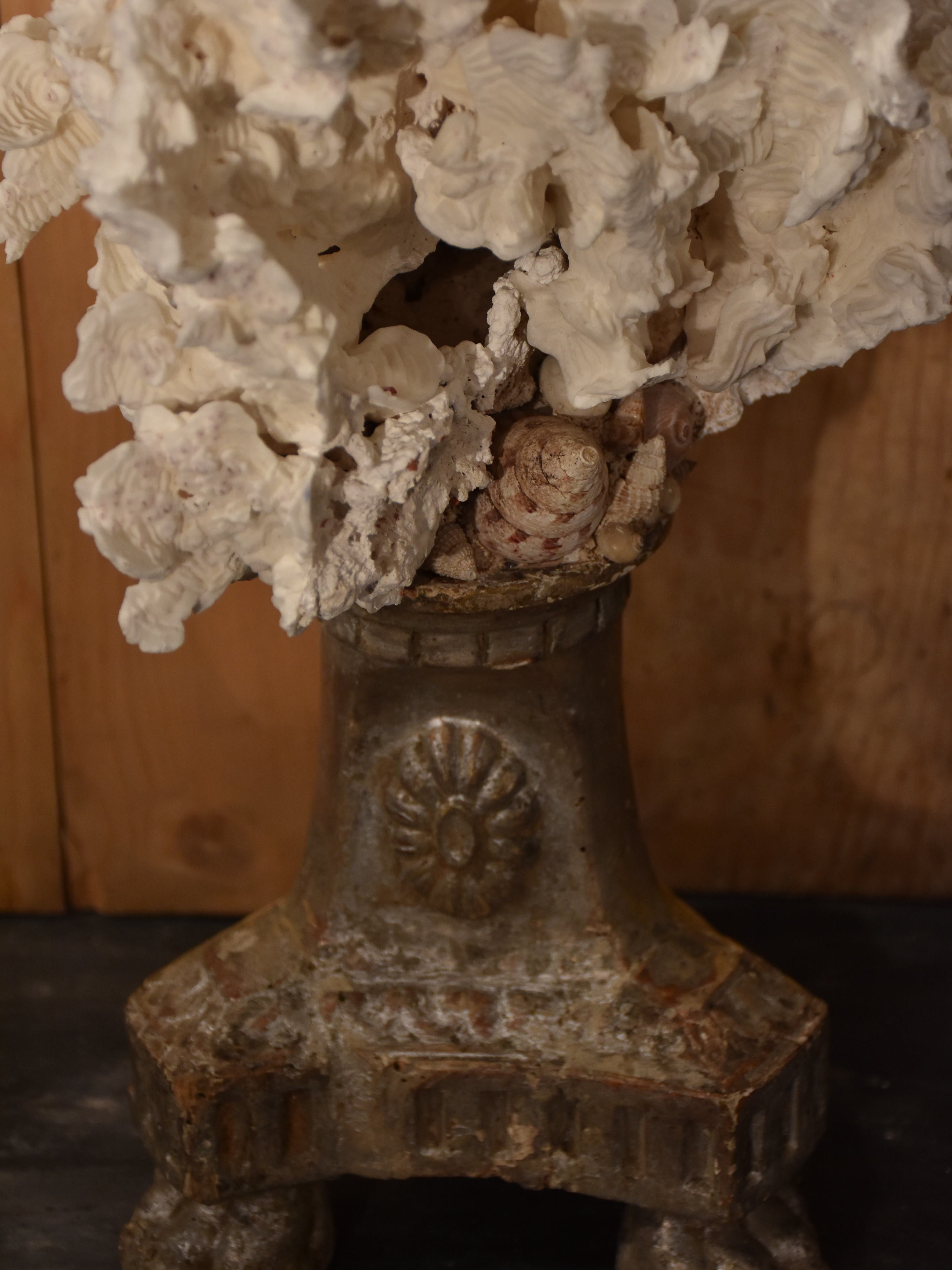 Mounted Coral and shell specimens on antique base