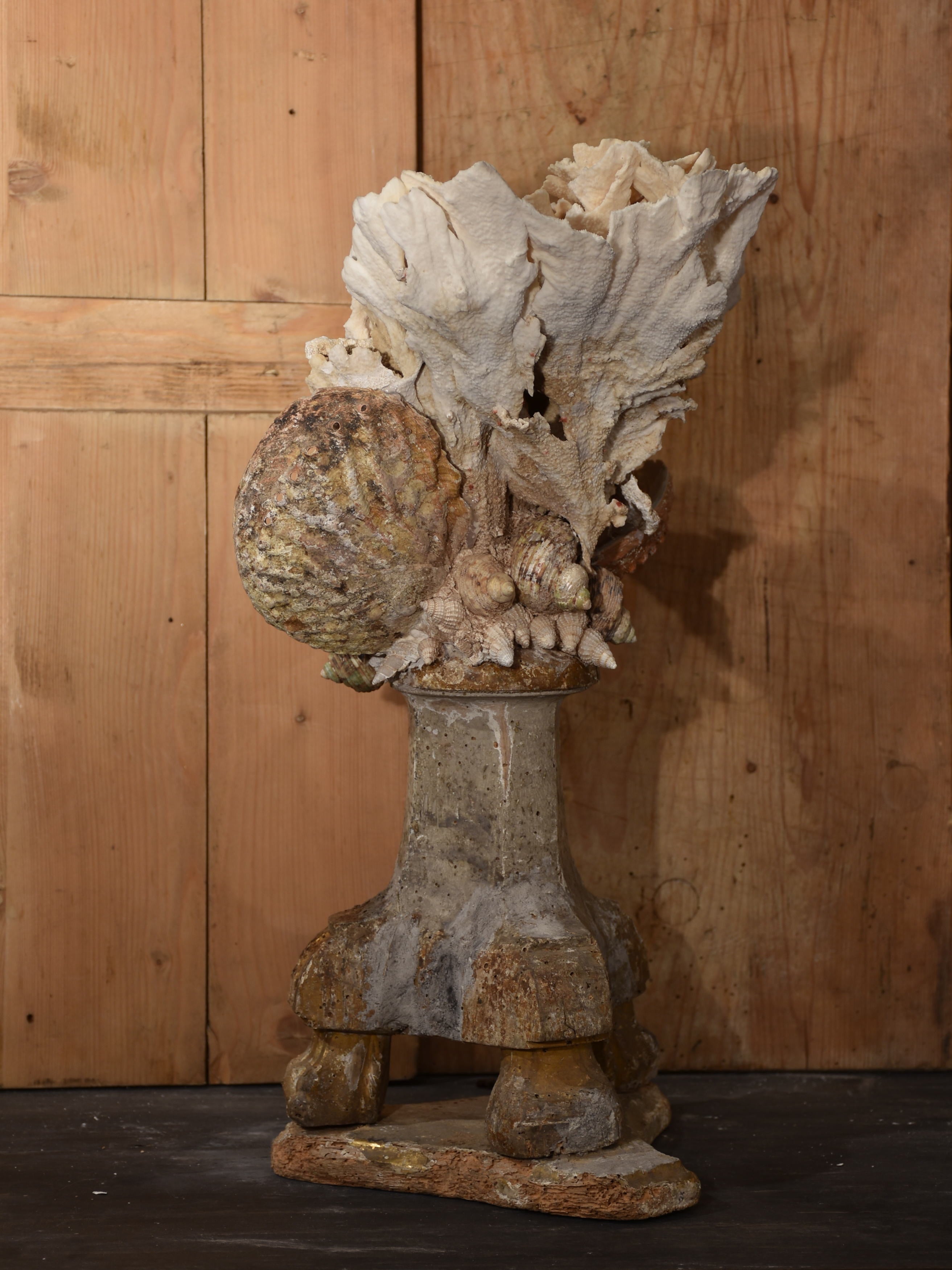 Coral and abalone shell specimens on antique base