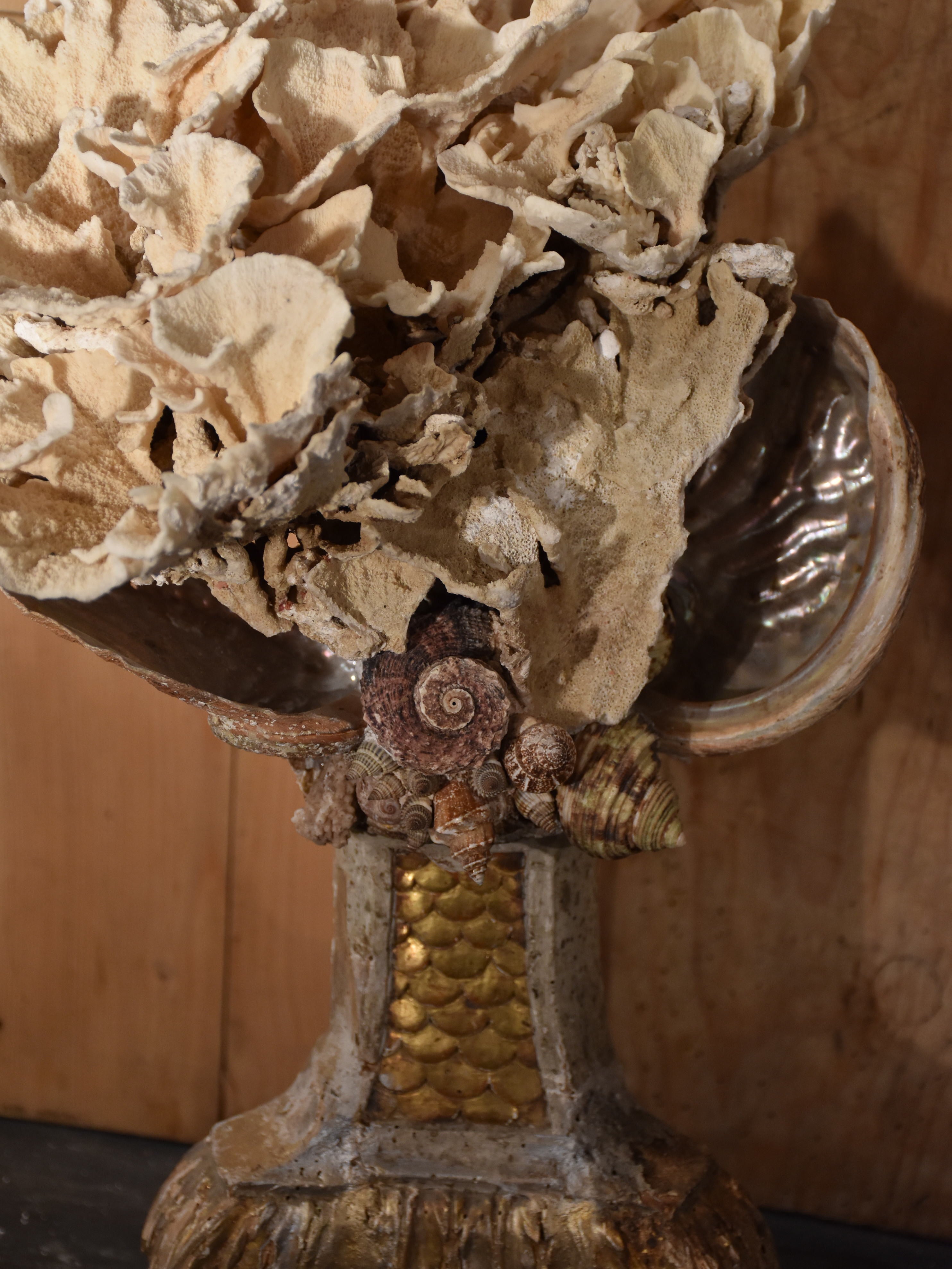 Coral and abalone shell specimens on antique base