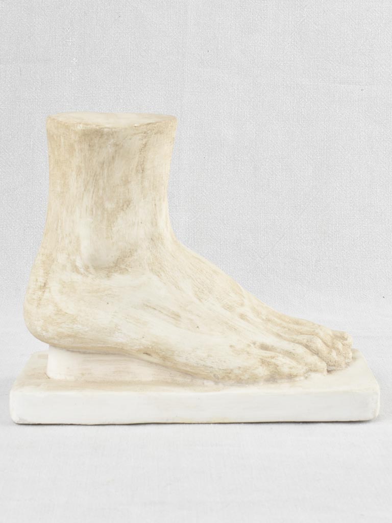 Classic plaster model of human foot