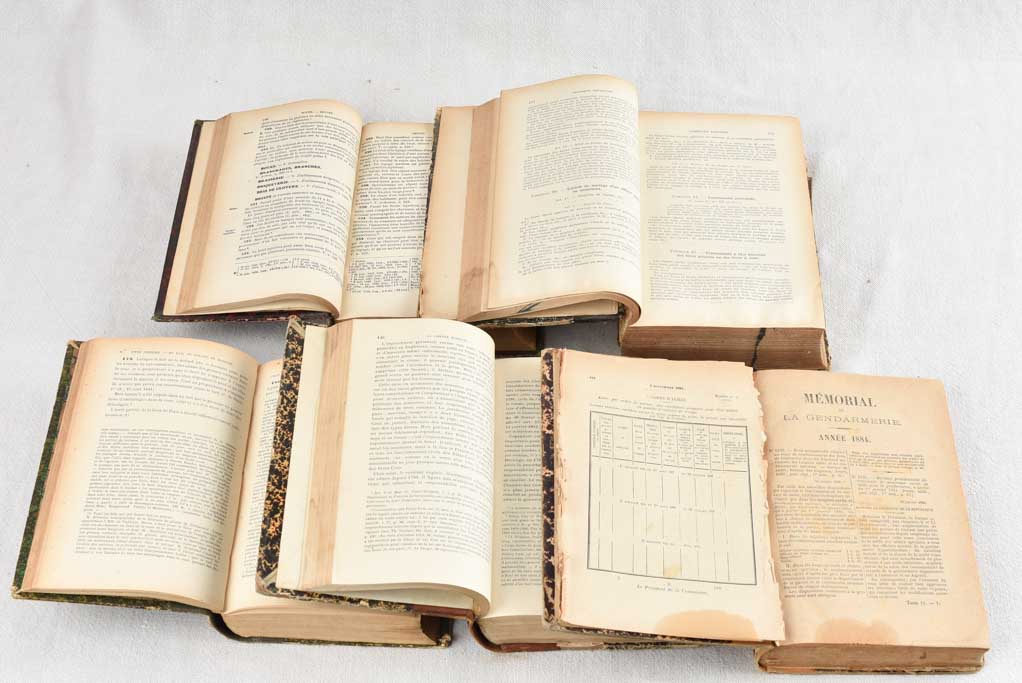 Collection of Aged French Educational Books