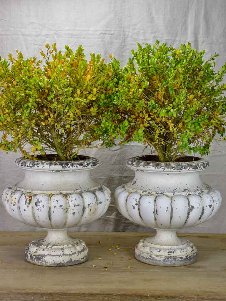 Pair of 19th Century French cast iron garden urns with white patina 13½"