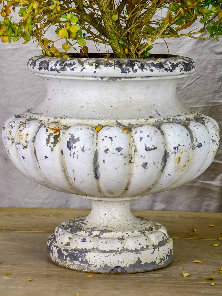 Pair of 19th Century French cast iron garden urns with white patina 13½"