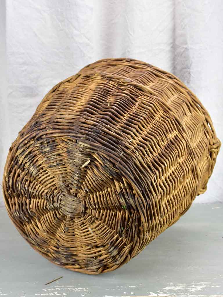 Very large antique French demijohn in a basket