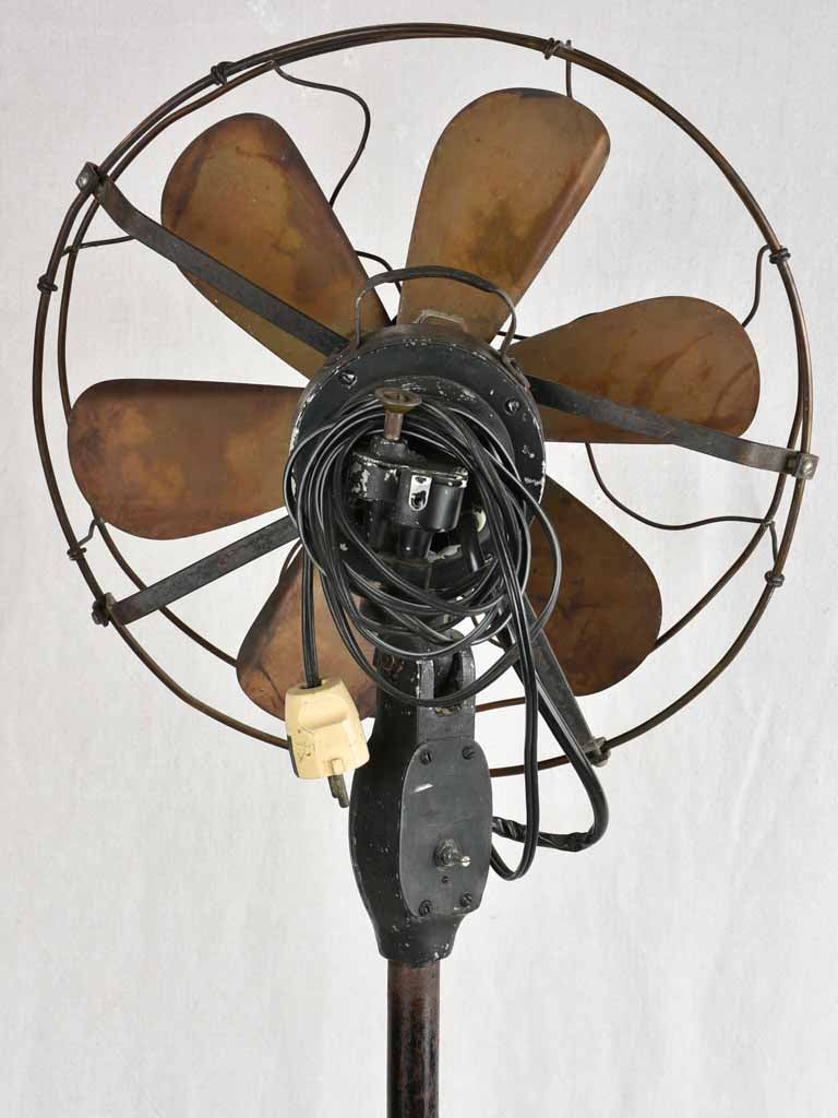 Distinctive Brass Finish SE Fan