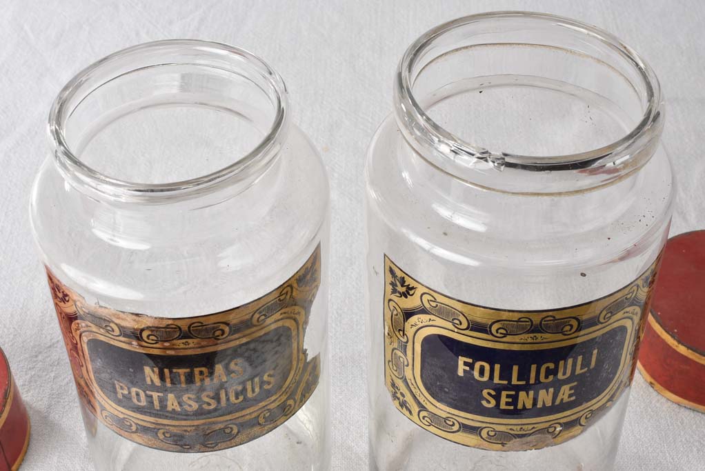 Collection of 6 antique French apothecary jars 11"