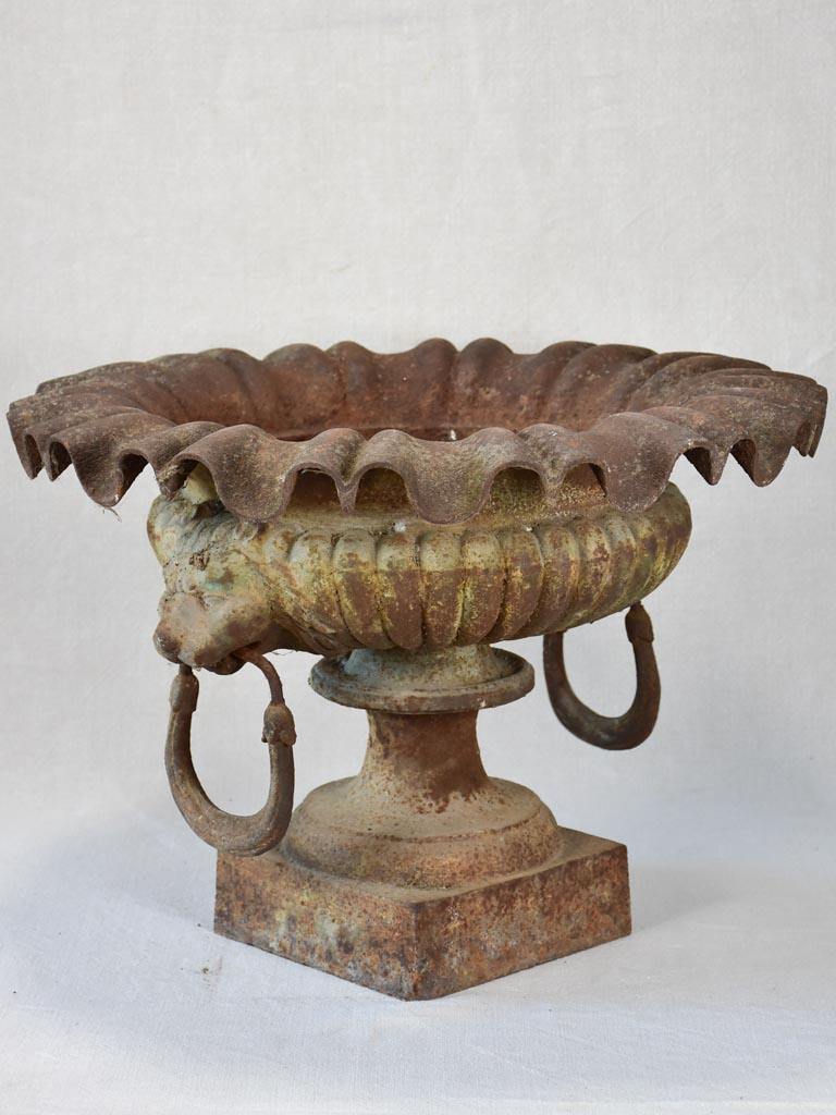 19th century French Medici urn with lion's head and loop handles 20¾"