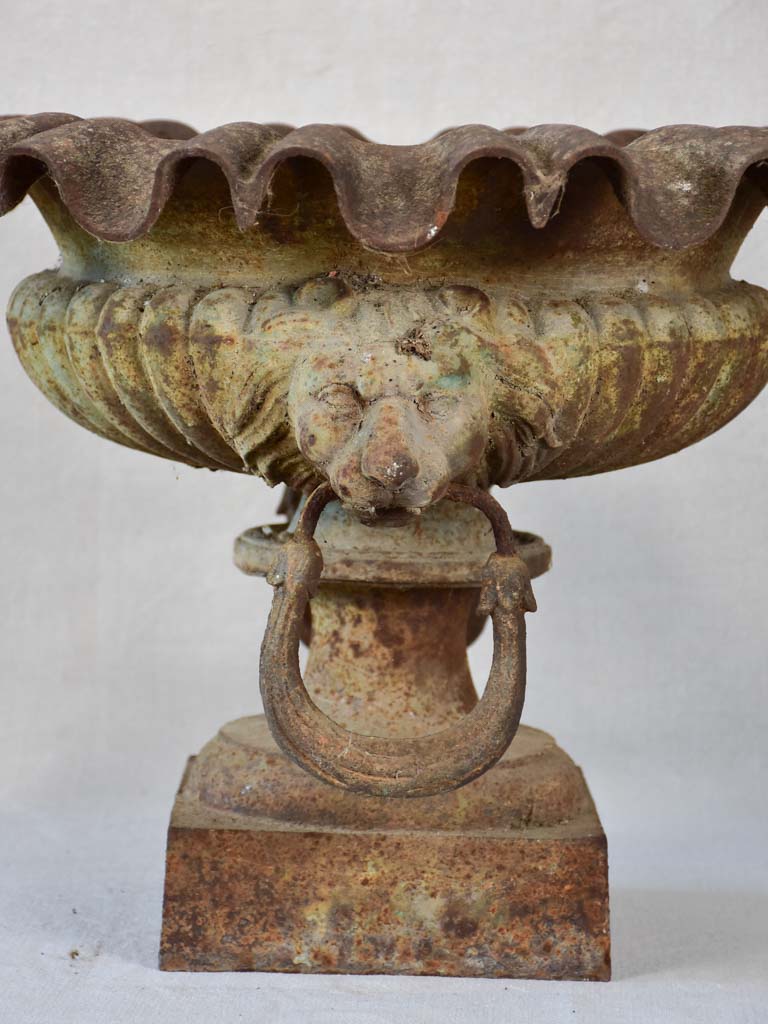 19th century French Medici urn with lion's head and loop handles 20¾"