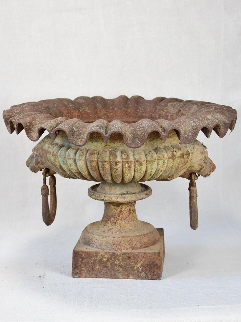 19th century French Medici urn with lion's head and loop handles 20¾"