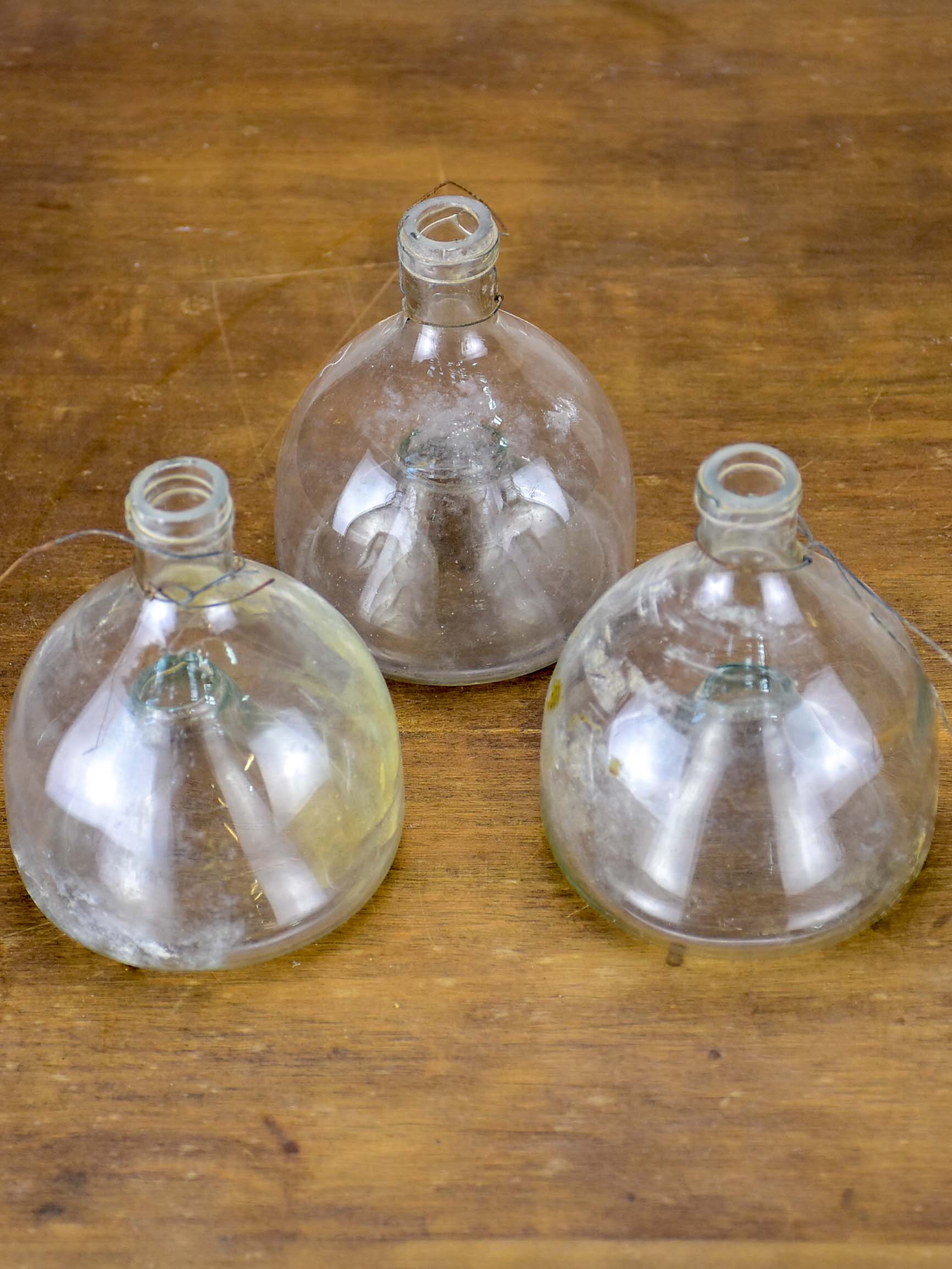 Three antique French fly-trap bottles