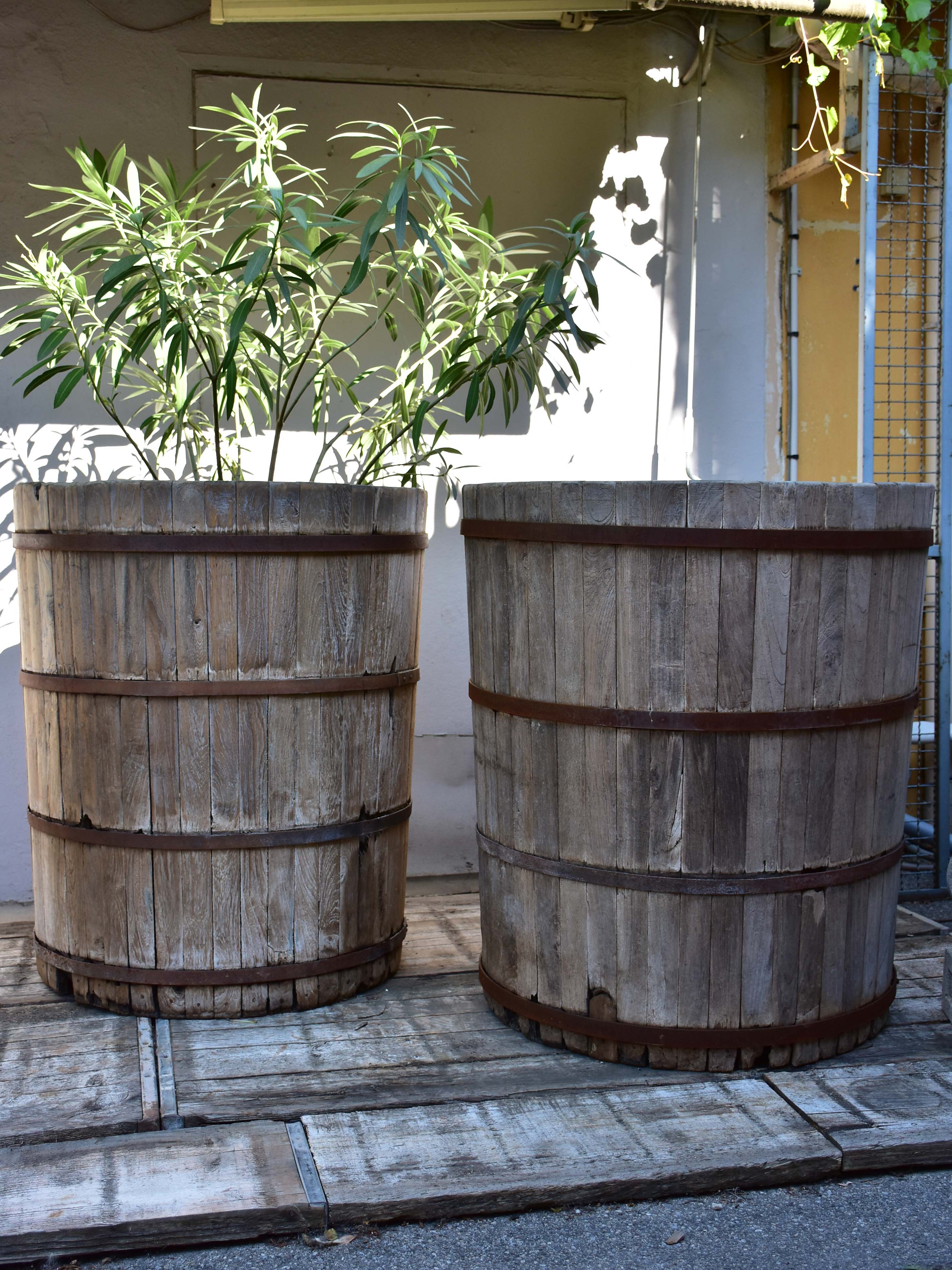 Two very large teak garden planters