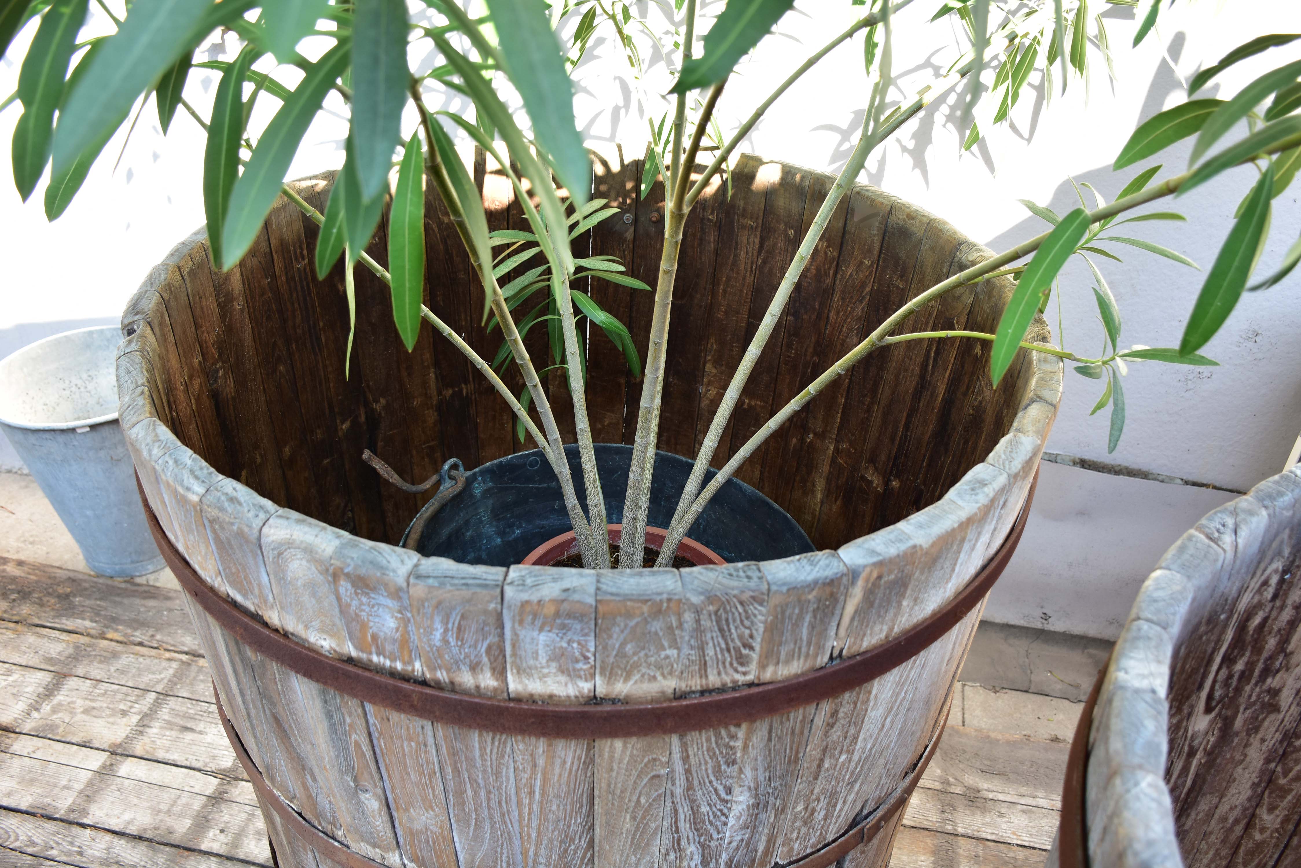 Two very large teak garden planters