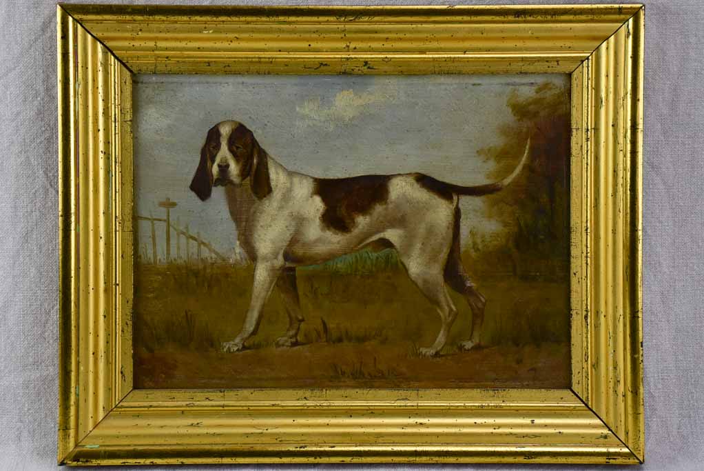 19th Century English painting of a hunting hound - anonymous 16½" x 12½"