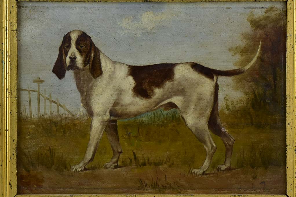 19th Century English painting of a hunting hound - anonymous 16½" x 12½"