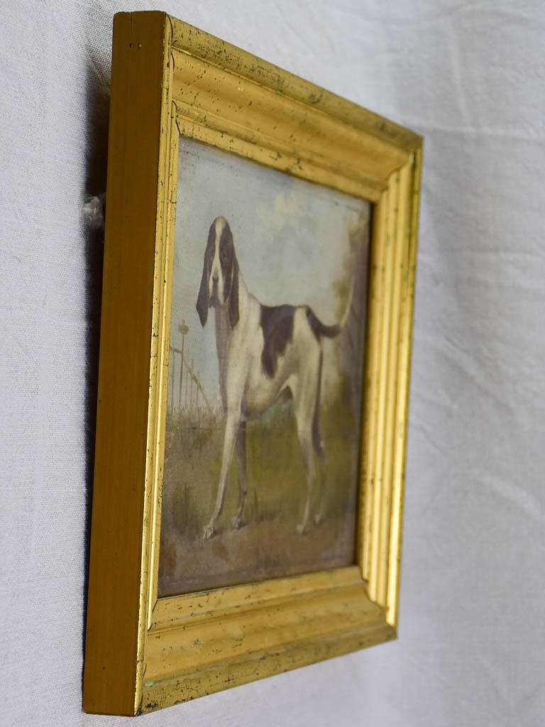 19th Century English painting of a hunting hound - anonymous 16½" x 12½"