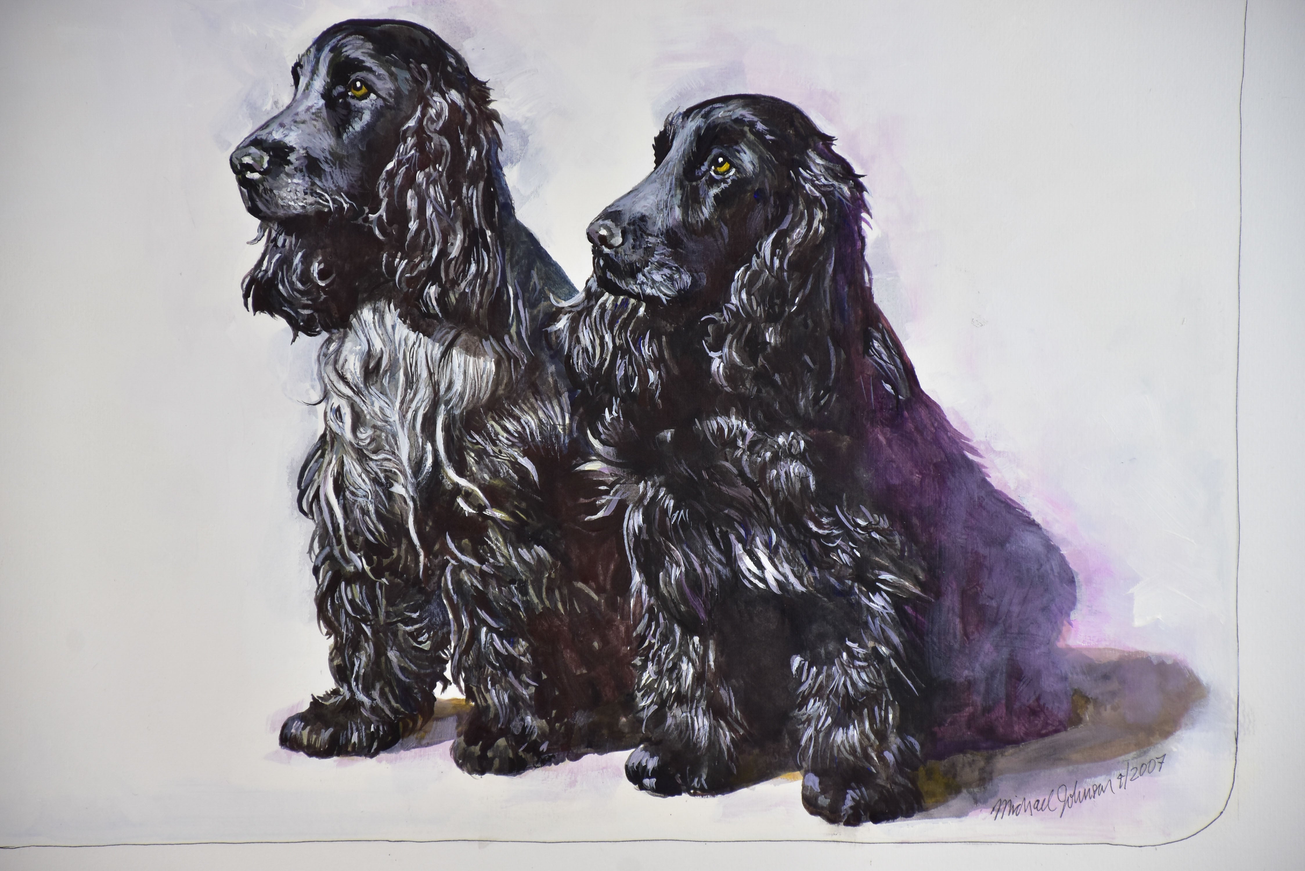 Water color painting of two black Cocker Spaniels 22 ½'' x 17 ¼''