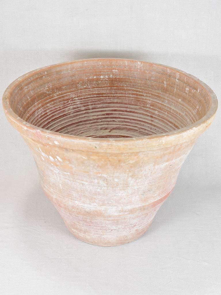 Large terracotta pot with whitewash patina 15"