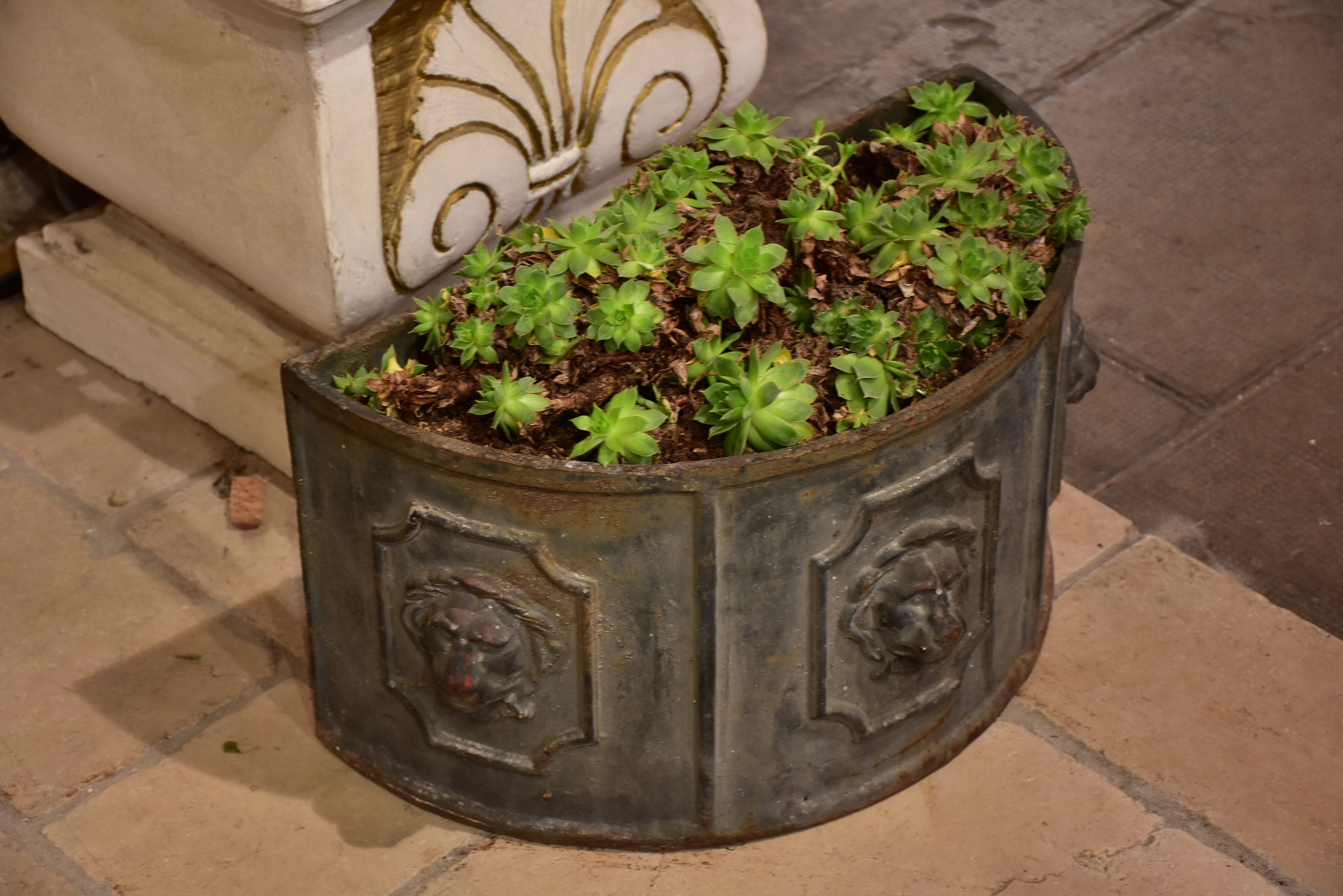 Pair of 19th century French lions head planters